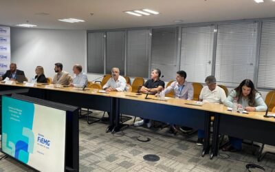 Presidente do Sindsorvete-MG participa de reunião estratégica do Conselho da Micro e Pequena Empresa e busca avanços para o setor de sorvetes e gelados comestíveis